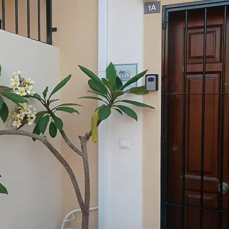 Ayd Apartmán Nerja